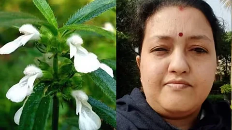 തുമ്പച്ചെടി തോരന് കഴിച്ചതിനു പിന്നാലെ ദേഹാസ്വാസ്ഥ്യം; ചികിത്സയിലായിരുന്ന വീട്ടമ്മ മരിച്ചു