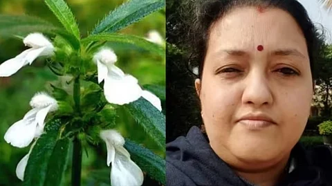 തുമ്പപ്പൂ തോരൻ കഴിച്ച് മരിച്ചെന്ന വാർത്ത വ്യാജം; പ്രാഥമിക പോസ്റ്റ്മോർട്ടം റിപ്പോർട്ട് പുറത്ത്