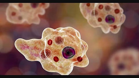 കേരളത്തിൽ വീണ്ടും അമീബിക് മസ്തിഷ്ക ജ്വരം; സ്ത്രീക്ക് രോഗ ബാധ സ്ഥിരീകരിക്കുന്നത് ആദ്യം