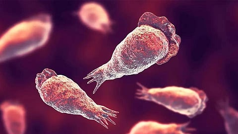 അമീബിക് മസ്തിഷ്ക ജ്വരം; രോഗലക്ഷണങ്ങള് കണ്ടാല് അത് പറഞ്ഞ് ചികിത്സ തേടണം: ആരോഗ്യമന്ത്രി