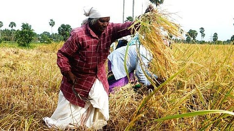 ഇന്ന് ചിങ്ങം 1, ഇനി കൊല്ലവർഷം 1200 ; അതിജീവനത്തിന്റെ പാതയില് പുതുവർഷത്തിനായി ഒരുങ്ങി മലയാളം