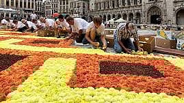 സന്ദര്ശകരെ വരവേല്ക്കാന് ബെല്ജിയത്തില് പൂക്കളുടെ പരവതാനി; നിര്മാണം അവസാനഘട്ടത്തില്