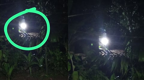 കോഴിക്കോട് അത്തോളിയിൽ കടുവയെ കണ്ടതായി നാട്ടുകാർ; തെരച്ചിൽ തുടരുന്നു