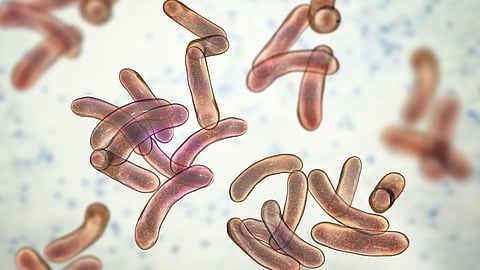 വയനാട്ടിൽ കോളറ ബാധിച്ച് ആദിവാസി യുവതി മരിച്ചു; 10 പേർ ചികിത്സയിൽ