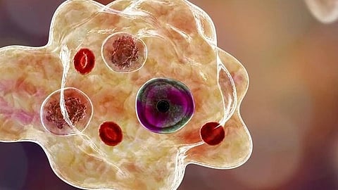 അമീബിക് മസ്തിഷ്ക ജ്വരം വര്ധിക്കുന്നതിന്റെ കാരണം കണ്ടെത്താന് കേരളം; ഗവേഷണം ഏറ്റെടുക്കുമെന്ന് ആരോഗ്യവകുപ്പ്