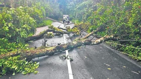 പ്രതീകാത്മക ചിത്രം