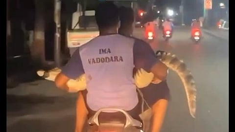 VIDEO | ഗുജറാത്തില് മുതലയുമായി ബൈക്ക് സവാരി; രക്ഷാപ്രവർത്തകരുടെ വീഡിയോ വൈറല്