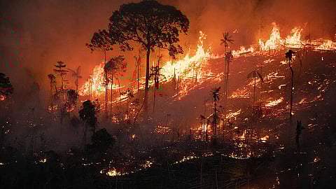 ഓഗസ്റ്റിലേത് 2010 ന് ശേഷമുള്ള ഏറ്റവും ഉയർന്ന കണക്ക്! ആമസോൺ മഴക്കാടുകളിലെ തീപിടുത്തങ്ങളുടെ എണ്ണത്തിൽ വർധന