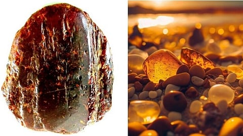 ചവിട്ടുപടിയായി ഉപയോഗിച്ചത് ഒമ്പത് കോടി വിലമതിക്കുന്ന നിധി; ലോകത്തെ ഞെട്ടിച്ച മുത്തശ്ശി