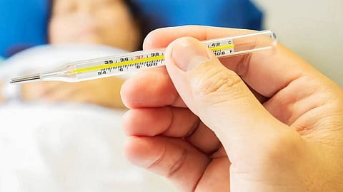 കോഴിക്കോട് കൊമ്മേരിയിൽ 3 പേർക്ക് കൂടി മഞ്ഞപ്പിത്തം; ഈയാഴ്ച രോഗം സ്ഥിരീകരിച്ചത് 42 പേർക്ക്