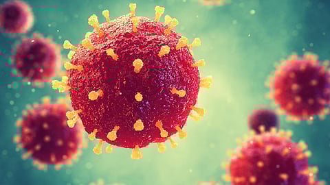 കോഴിക്കോട് കൊമ്മേരിയില് 5 പേർക്ക് കൂടി മഞ്ഞപ്പിത്തം; രോഗബാധിതരുടെ എണ്ണം 47 ആയി