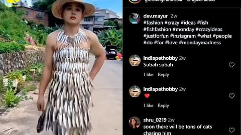 VIDEO | എന്താ വെറൈറ്റിയല്ലേ?; മത്തിയടുക്കി ഞൊറികളിട്ട ഫ്രോക്കുമായി യുവാവ്, നാട്ടിൽ പൂച്ചകളില്ലേയെന്ന് കമൻ്റ്