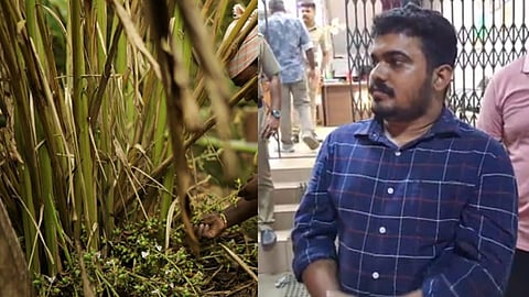 കർഷകരിൽ നിന്ന് ലക്ഷകണക്കിന് രൂപയുടെ ഏലം തട്ടിയെടുത്ത് മുങ്ങി; പ്രതിയെ പൂട്ടി പൊലീസ്