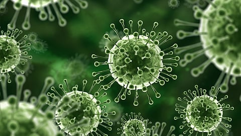 നിപ ഭീതിയിയിൽ മലപ്പുറം; മരിച്ച യുവാവിൻ്റെ സ്രവ പരിശോധന
ഫലം ഇന്ന് ലഭിക്കും