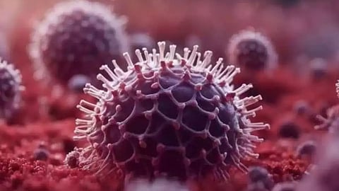 നിപ ഭീതിയില് മലപ്പുറം: സമ്പര്ക്ക പട്ടികയില് കൂടുതല് പേര്; 151 പേരുടെ പട്ടിക ആരോഗ്യ വകുപ്പ്