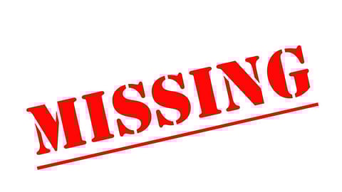 പാലക്കാട് കാണാതായ പെൺകുട്ടികൾക്കായി തെരച്ചിൽ ഊർജിതമാക്കി പൊലീസ്; സിസിടിവി കേന്ദ്രീകരിച്ച് അന്വേഷണം