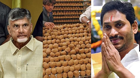 തിരുപ്പതി ലഡു ഉണ്ടാക്കാൻ മൃഗക്കൊഴുപ്പ് ഉപയോഗിച്ചതായി ആരോപണം; ജഗൻ മോഹൻ റെഡ്ഡിക്കെതിരെ ആന്ധ്രാ മുഖ്യമന്ത്രി