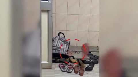 കണ്ണൂർ പരിയാരം മെഡിക്കൽ കോളേജിൽ കുട്ടികളുടെ ഐസിയുവിന് മുന്നിൽ ഉഗ്രവിഷമുള്ള പാമ്പ്