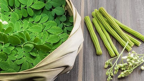 മുരിങ്ങയില കഴിക്കുന്നവരാണോ നിങ്ങൾ? എങ്കിൽ ഈ ഗുണങ്ങൾ ലഭിക്കും