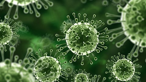 നിപയിൽ ആശ്വാസം; മൂന്നു പേരുടെ പരിശോധനാ ഫലം കൂടി നെഗറ്റീവായി