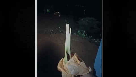 ഷിരൂർ ദൗത്യം: ഗംഗാവലി പുഴയിൽ നിന്ന് അസ്ഥിഭാഗം കണ്ടെത്തി