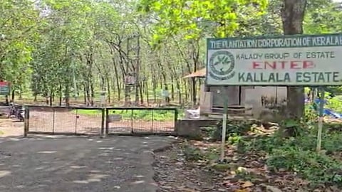 വന്യജീവി - മനുഷ്യ സംഘർഷങ്ങൾ; തൃശൂർ-എറണാകുളം ജില്ലകളിലെ പ്ലാൻ്റേഷൻ കോർപറേഷൻ റോഡുകളിലൂടെയുള്ള യാത്രകൾക്ക് നിയന്ത്രണം