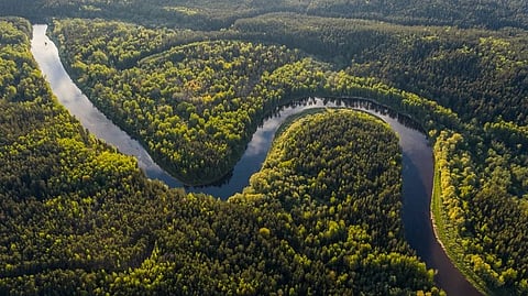 ആമസോൺ കാടുകളിൽ വനനശീകരണം നടക്കുന്നതായി പഠനം; കാലാവസ്ഥ വ്യതിയാനത്തിന് കാരണമായേക്കുമെന്ന് നിഗമനം