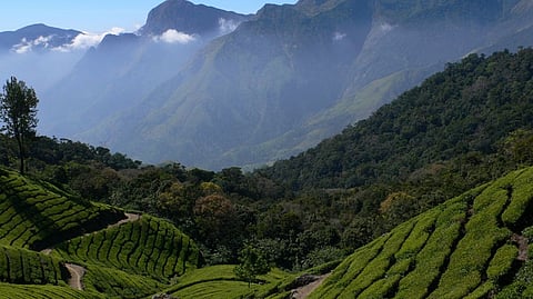 ഇഎസ്എ കരട് വിജ്ഞാപനത്തിൽ നിന്ന് ജനവാസ കേന്ദ്രങ്ങൾ ഒഴിവാക്കണം; പരാതി സെൽ രൂപീകരിച്ച് കർഷക കോൺഗ്രസ് കമ്മിറ്റി
