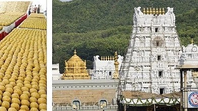 തിരുപ്പതി ലഡു വിവാദം: പ്രസാദം അശുദ്ധമല്ലെന്ന് ഉറപ്പാക്കാൻ ലാബുകളിൽ പരിശോധന നടത്തും, നിർമാണ രീതികളും നിരീക്ഷിക്കും; ഉത്തരാഖണ്ഡ് സർക്കാർ