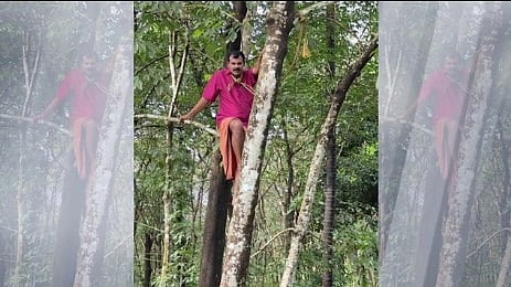 കണ്ണൂരില് കാട്ടുപന്നി കൃഷി നശിപ്പിച്ചു; ജീവനൊടുക്കുമെന്ന് ഭീഷണിമുഴക്കി കർഷകന്