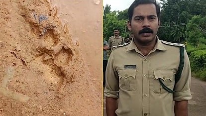 വയനാട് കടുവയുടെ കാൽപ്പാടുകൾ; ഭീതിയിൽ മാനന്തവാടി- തൃശിലേരി നിവാസികൾ