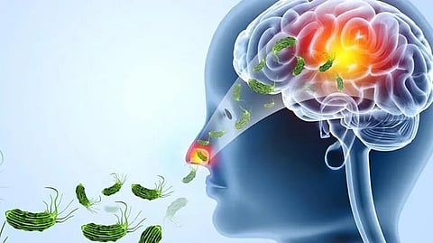 തിരുവനന്തപുരത്ത് രണ്ടുപേർക്ക് കൂടി അമീബിക് മസ്തിഷ്ക ജ്വരം; ചികിത്സയിലുള്ളവരുടെ എണ്ണം മൂന്നായി