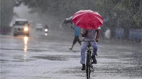 സംസ്ഥാനത്ത് വീണ്ടും മഴ, നാളെ ഒമ്പത് ജില്ലകളിൽ യെല്ലോ അലേർട്ട്, ഇടിമിന്നൽ ജാഗ്രതയും