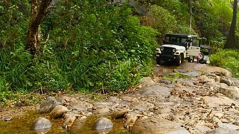 വയനാട്ടിൽ ഇക്കോ ടൂറിസം കേന്ദ്രങ്ങൾ തുറക്കണം; ആവശ്യം ശക്തമാക്കി നാട്ടുകാർ