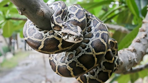 പ്രതീകാത്മക ചിത്രം