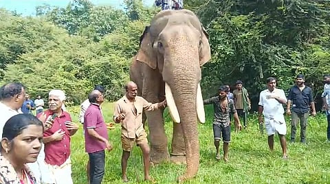 'സാധു' സേഫ്, ഒടുവിൽ കാടിറങ്ങി; ഷൂട്ടിംഗിനിടെ വിരണ്ട ആനയെ കോട്ടയത്തേക്ക് കൊണ്ടുപോയി