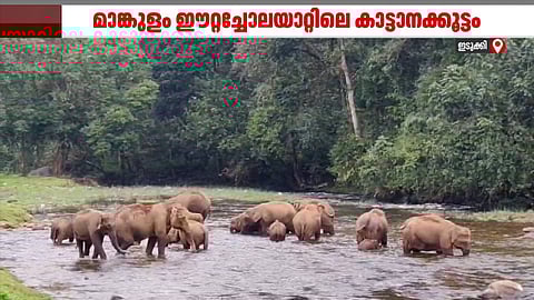 മഴ മാറി, മാങ്കുളം ആനക്കുളത്തെ ആനക്കാഴ്ചകള് കാണാം