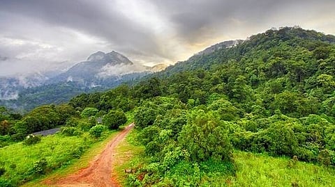അട്ടപ്പാടിയിൽ കുന്നിടിച്ച് നിരത്തല് വ്യാപകം; റവന്യൂ അധികൃതരുടെ ഒത്താശയോടെയെന്ന് പരാതി