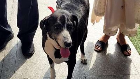 ഗുഡ്ബൈ! ടാറ്റയെ അവസാനമായി കാണാന് 'ഗോവ'യും എത്തി...