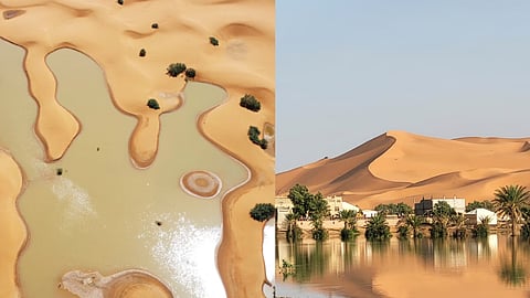 ഇതാണോ ലോകത്തെ ഏറ്റവും വലിയ ഉഷ്ണമരുഭൂമി? 'സഹാറ'യിൽ വെള്ളപ്പൊക്കം സൃഷ്ടിച്ച മാറ്റം അവിശ്വസനീയം! ചിത്രങ്ങൾ കാണൂ