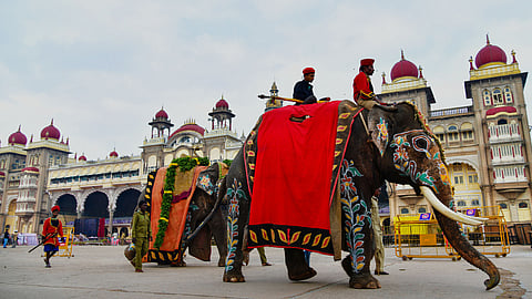 കാഴ്ചപ്പൂരത്തിന് കൊടിയിറക്കം; മൈസൂരു ദസറ ആഘോഷങ്ങൾക്ക് ഇന്ന് സമാപനം