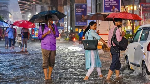സംസ്ഥാനത്ത് പരക്കെ മഴ തുടരും; ഇന്ന് 7 ജില്ലകളിൽ യെല്ലോ അലേർട്ട്