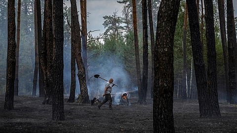 റഷ്യന് മൈനുകള്, കെണികള്, കാട്ടുതീ; യുദ്ധം ചുട്ടെരിക്കുന്ന യുക്രെയ്ന് വനങ്ങള്