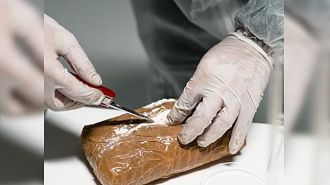 ഗുജറാത്ത് കൊക്കെയ്ൻ വേട്ടയിൽ പുതിയ വഴിത്തിരിവ്; കേസിൽ ഫാർമ സൊല്യൂഷൻ കമ്പനിക്ക് പങ്കെന്ന് പൊലീസ്