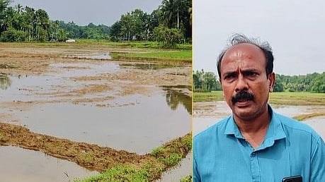 കൃഷിഭവനിൽ നിന്ന് നൽകിയ വിത്തുകളിൽ ഏറിയ പങ്കും ഉപയോഗശൂന്യം; നഷ്ട പരിഹാരമാവശ്യപ്പെട്ട് കർഷകർ