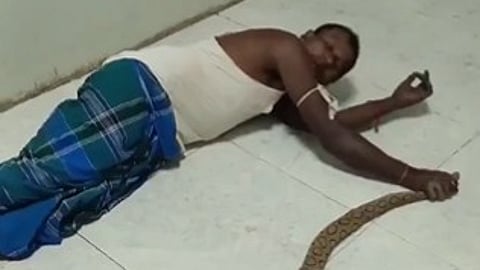 കടിച്ച വിഷപ്പാമ്പിനെ കഴുത്തിൽ ചുറ്റി; ഭഗൽപൂർ സ്വദേശിയുടെ സാഹസിക യാത്ര ആശുപത്രിയിലേക്ക്