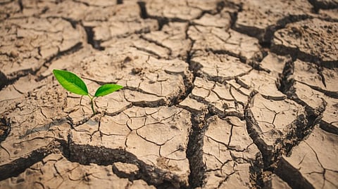 ജലക്ഷാമം നയിക്കുന്നത് പട്ടിണിയിലേക്ക്; ലോകരാജ്യങ്ങളെ ആശങ്കയിലാഴ്ത്തി പഠനറിപ്പോർട്ടുകൾ