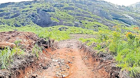 ചൊക്രമുടി കയ്യേറ്റം: മുൻ തഹസിൽദാരടക്കം 3 പേർക്ക് സസ്പെൻഷൻ