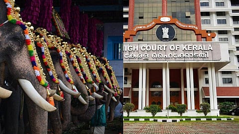 'ഇതൊന്നും ആചാരമല്ല, മനുഷ്യന്റെ വാശി'; ഉത്സവങ്ങളില് ആനയെ എഴുന്നള്ളിക്കുന്നതിനെതിരെ ഹൈക്കോടതി