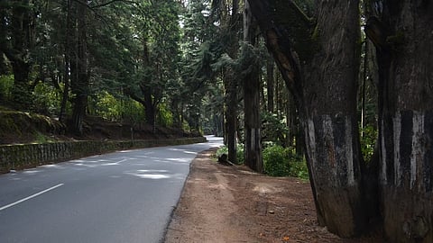 മാറിമാറി വരുന്ന സർക്കാരുകളും ജനപ്രതിനിധികളും; 15 കൊല്ലത്തിനിപ്പുറവും പരിഹാരമാകാതെ
മുത്തങ്ങ- ബന്ദിപൂർ രാത്രി യാത്രാനിരോധനം
